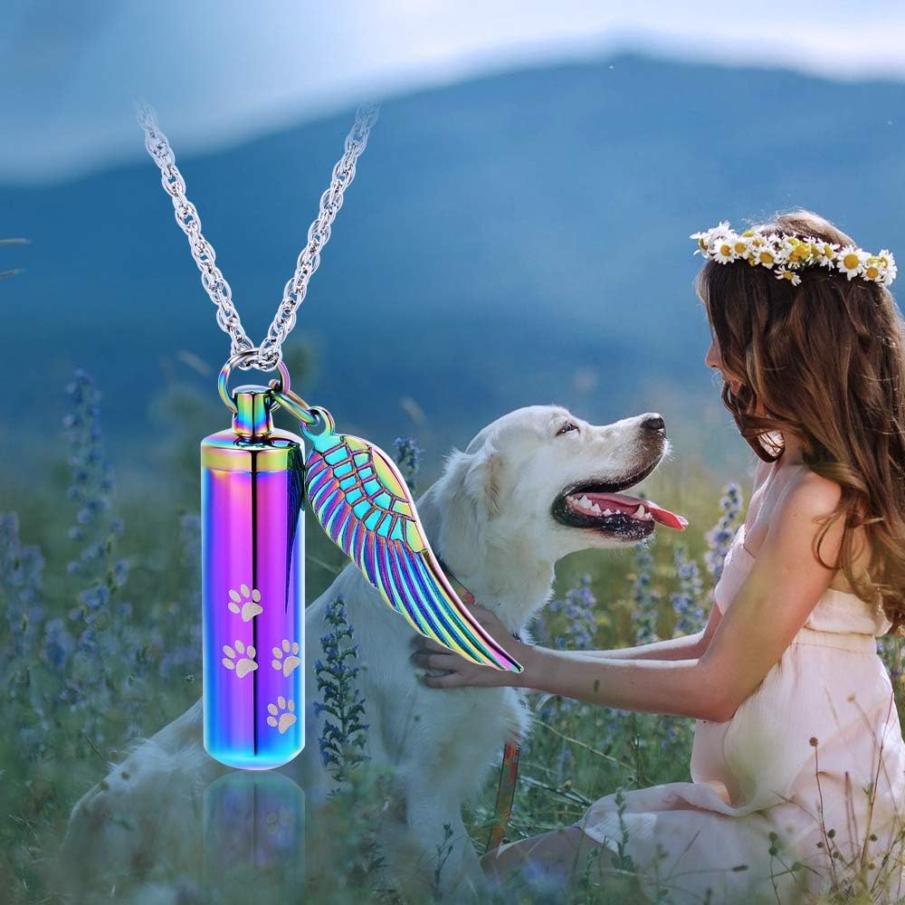 shajwo Cremation Jewelry Paw Print Urn Necklaces for Human Pet Ashes Cylinder Urn Pendant Keepsake Memorial Ash Locket Holder Necklace for Men Women