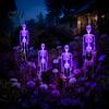Halloween Trick or Treat Route Lighting 3D Skeleton Solar Garden Lamp, Spooky Human Pathway Waterproof Lawn Stakes for Cemetery Lights, Resin Outdoor