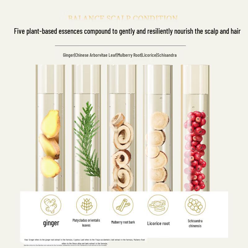 Siyuan Ginger Strong Resilience Shampoo