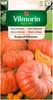 Giant Pumpkin Rouge vif d'Etampes 3g -