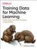 Книга Training Data for Machine Learning