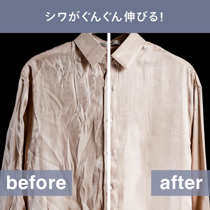 Twin Bird Clothes Handy Iron Hair Clothes Brush Ivory Steamer, & Steamer, Dezodoring, Desinfating, Brush, В комплекте, SA-4097VO