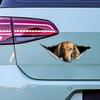 Car Stickers for Red Long-Haired Dachshund Hidden In Holes, Waterproof Irregularly Shaped Car Decoration Decals