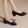 Autumn Black High Heels Women's Spring Soft Leather Thick Heel Commuter Work Shoes Pointed Small Leather Shoes One Pedal Women's Shoes