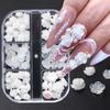 6 Grids/box 5D Aurora Resin White Camellia Ornament Nail Accessories Nail Art Decoration