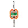C100 Portable  Scale Fishing  Balance Electronic 150kg   Weighing