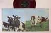LP Пластинка PINK FLOYD - Atom Heart Mother (- Красный винил) OP80102 ODEON 1971 Япония Рок Б/у