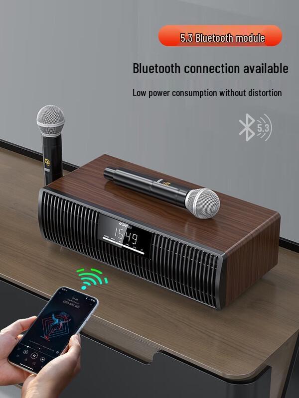 Sansui Home KTV Karaoke Audio System