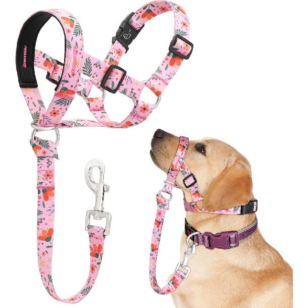 Dog Head Collar, Printed No-Pull Headcollar, Adjustable Dog Head Halter Gentle Lead with Safety Link, 3 Colors Muzzle Leash for Small Medium Large