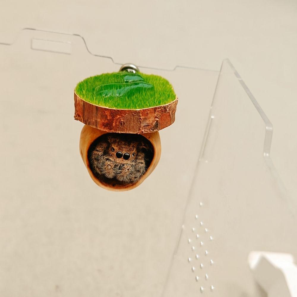 Magnetic Spider Hide Cave Mini Magnetic Spider Habitat Jumping Spider Shelter  for Mantis Tarantula