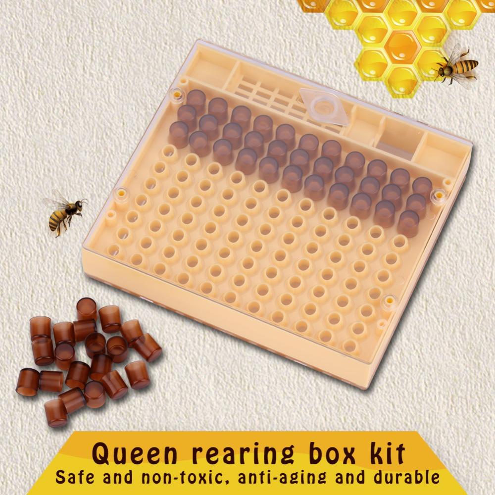 High Quality Plastic Queen Rearing Cup Kit Queen Rearing Cage Set  Raise Your Own Queens