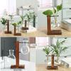 Creative Green Plants Wooden Frame Glass Vase Hydroponic Container Desktop Office Living Room Decoration