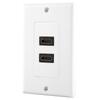 2-fold  Wall Cover 2 Ports  Socket  Wall Plate with Gold-plated High-speed Connections for Home Cinema TV