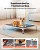 Elevated Dog Bed for Large Dogs Portable Raised Dog Cot with Teslin Mesh L