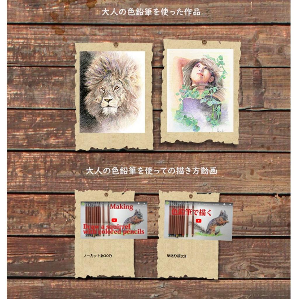 Карандаш Hokusei механический карандаш для взрослых цветной карандаш 13 цветов набор OTP-IE13