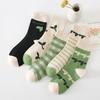 5/10 Pairs Comfortable Casual Spring Autumn Socks for Women Mid Calf Cute Fresh Green Long Socks Academic Style Cotton Socks for Girls