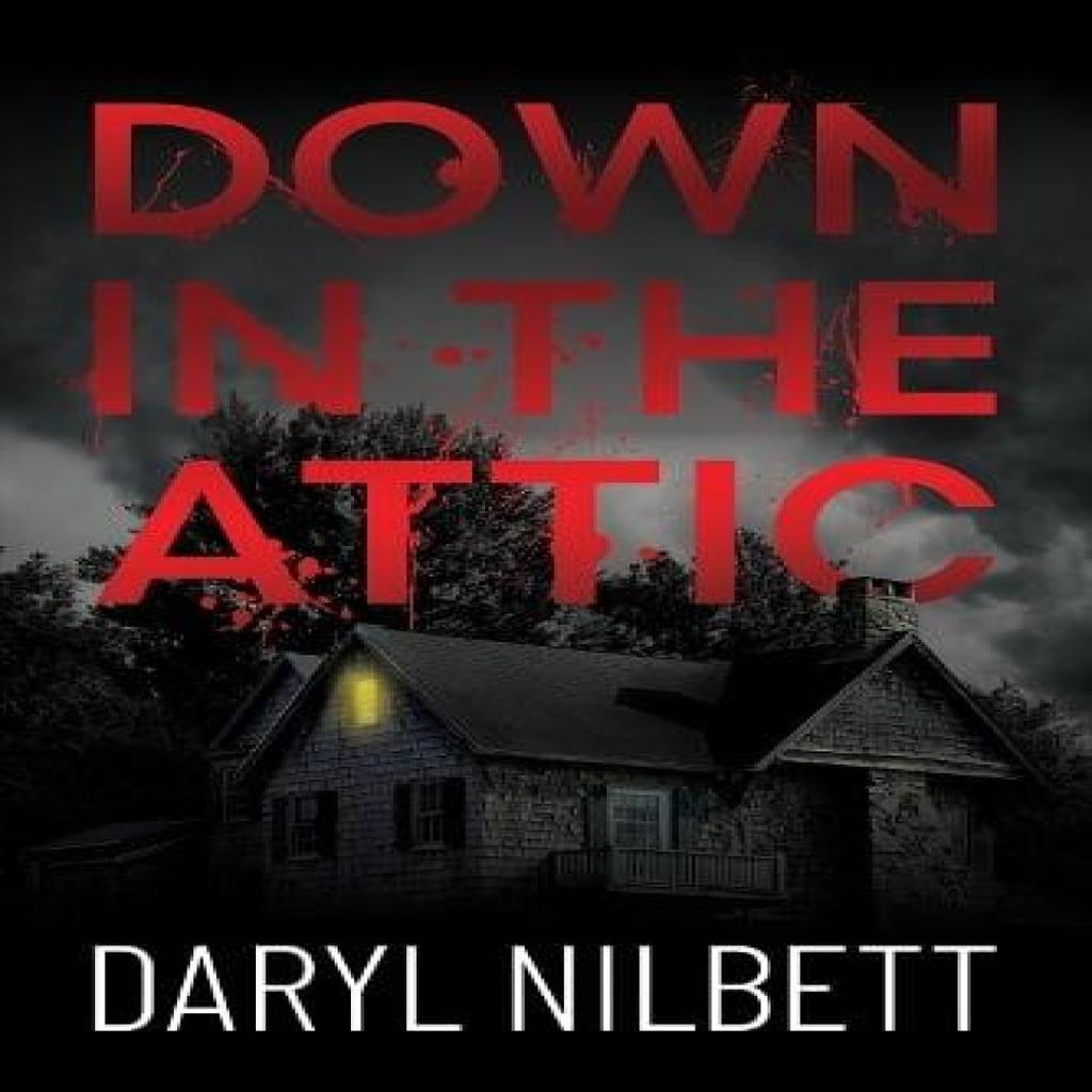 Down in the Attic by Daryl Nilbett Paperback Book 9781837919307