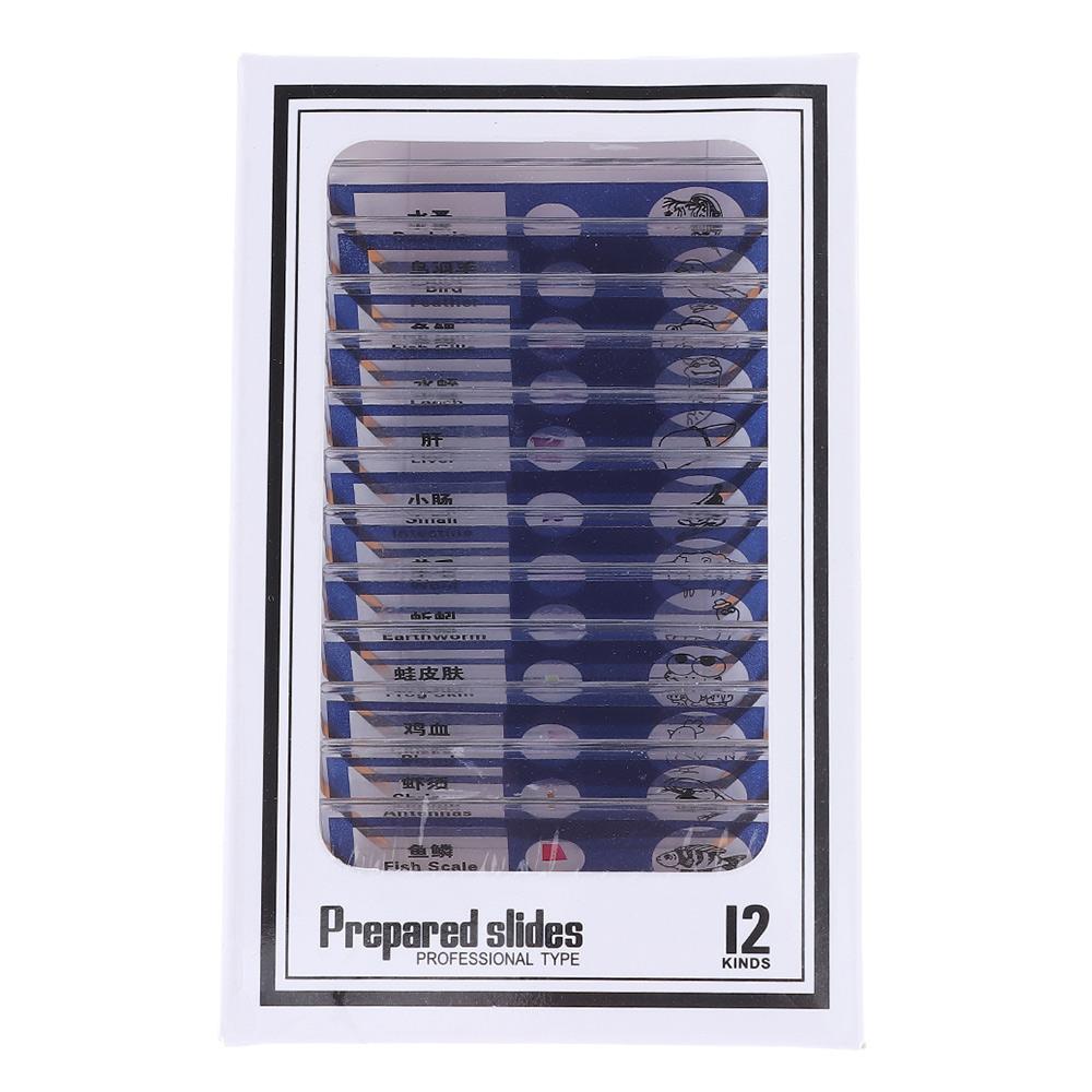 Пластиковые предметные стекла для микроскопа Образцы Животные Насекомые Растения Цветы Образцы для микроскопа Готовые препараты Разноцветные