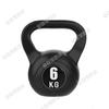 Golden Lion Fitness Kettlebell