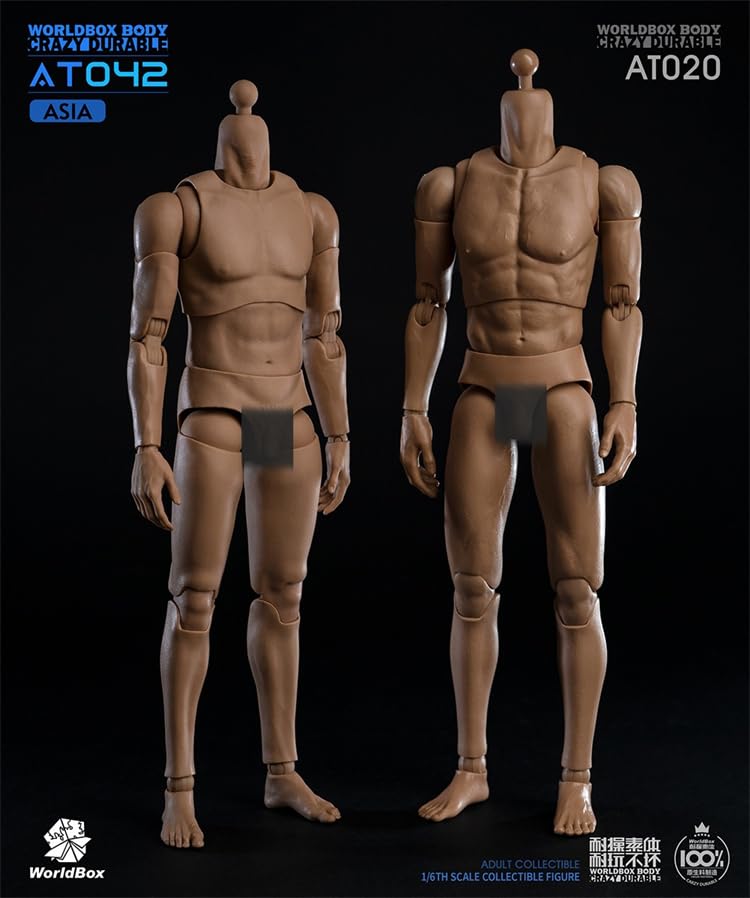Worldbox AT042 Прочное тело азиатского мужчины для масштабных фигурок [TOYBARJAPAN] 1/6