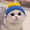 Funny Cat Hat Photo Shoot Props Pets Party Cosplay Headwear Cat Accessories  Autumn Winter