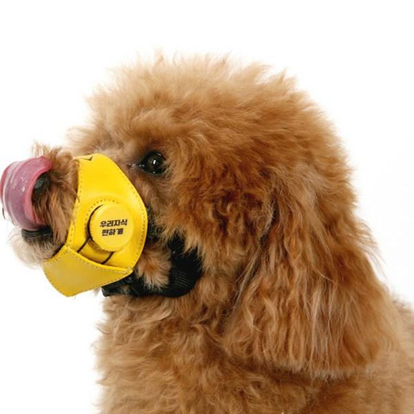 Намордник Free Dog Bang Bang, S, Желтый