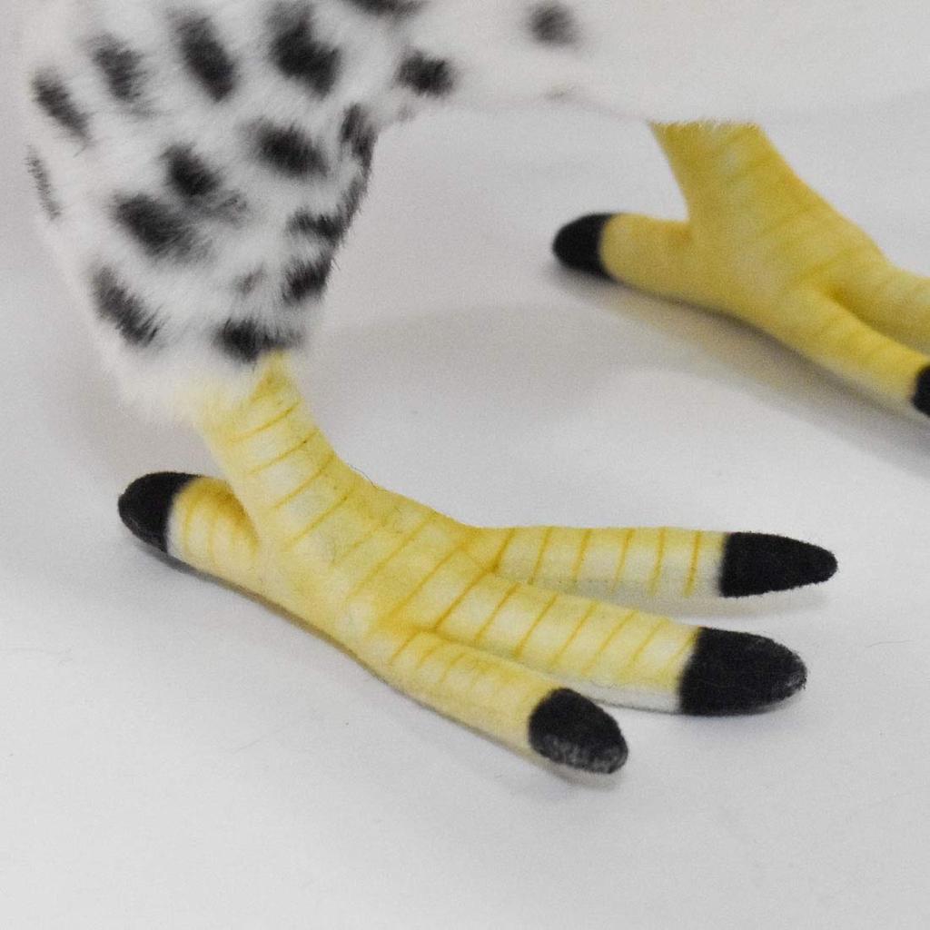 BH7710 HANSA Harpy Eagle 50