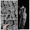 Ткань с жаккардовой текстурой "Цветочная линия" Креативная 3D тисненая вышивка Дизайнерская ткань для DIY Вечернего платья Формальной одежды