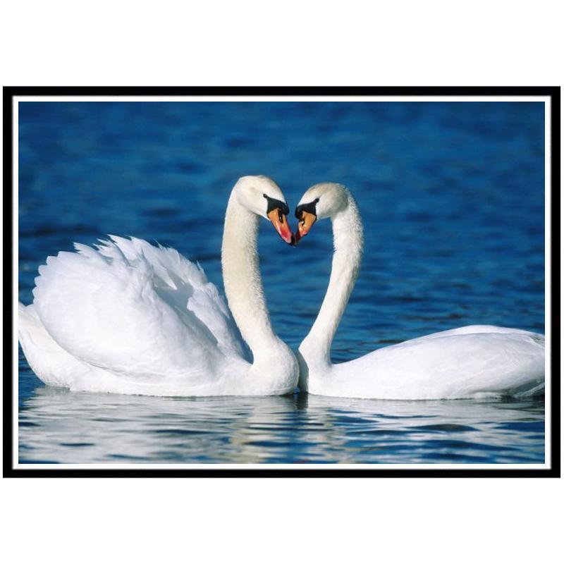 Алмазная картина «сделай сам», новый 5D пейзаж, животное, Алмазная мозаика, вышивка крестиком, костюм, кошка, животное, домашнее украшение на стену, подарок ручной работы