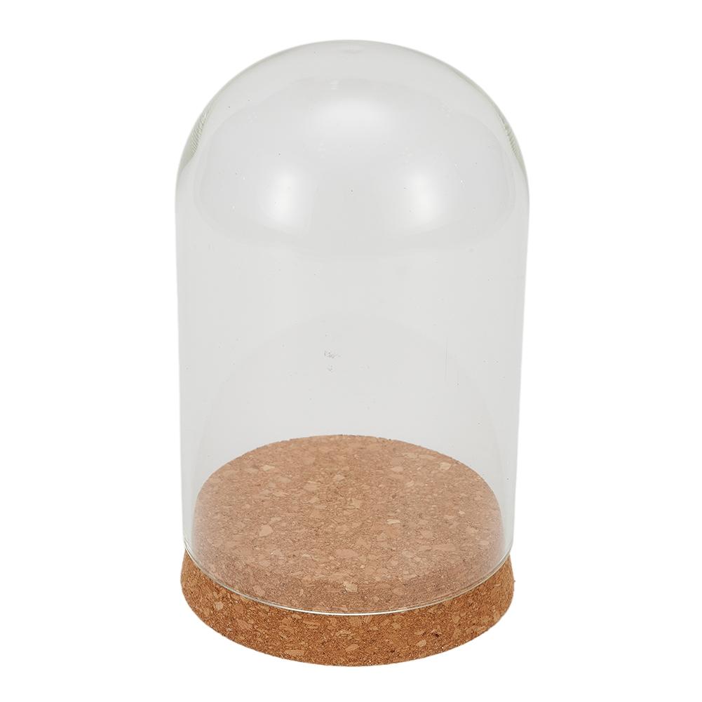 Glass Display Cloche Bell Jar Dome Flower Preservation Cover Wood Base DIY