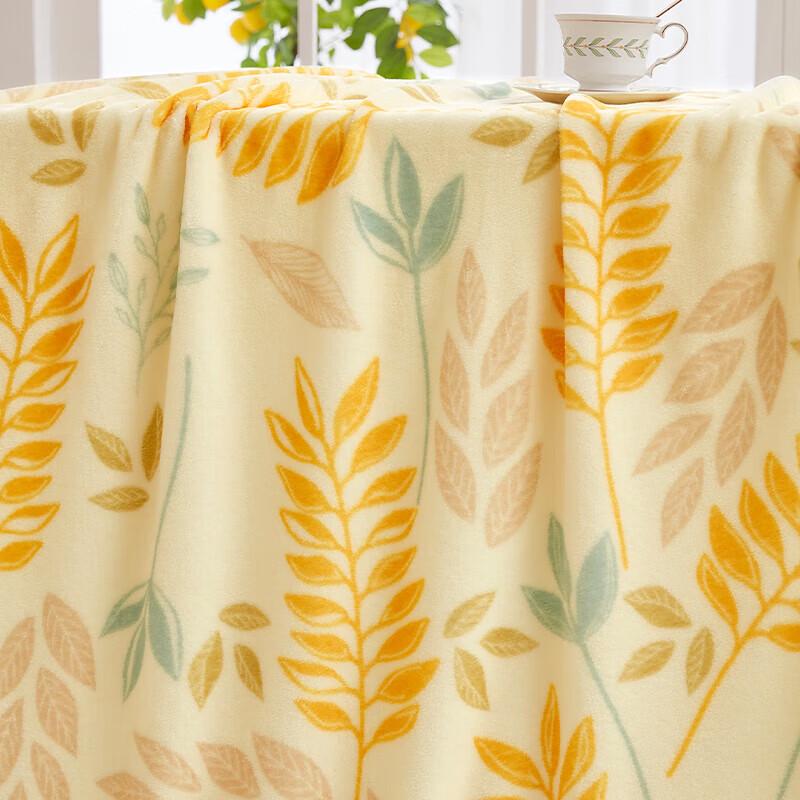 Donna Home Flannel All-Season Blanket