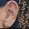 Small Batch Custom Service Brass Gold Plated Animal Stud Earrings Modern Style Ear Jewelry for Ladies Party Celebration Use