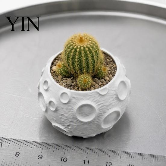 Декоративный фотореквизит 3D-печатный лунный горшок для суккулентов, Креативный горшок в виде лунной поверхности, Современный декор для дома, Настольный декор, Минималистичное растение