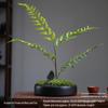 Modern Chinese Artificial Flower Bonsai with Preserved Moss for Hotel and Coffee Table Decor