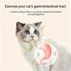 5 PCS Natural Silvervine Sticks for Cats, Raffia Matatabi Cat Chew Toys for Teeth Cleaning, Edible Dental Molar Sticks for Kitten Hairball Relief