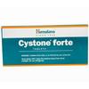 Cystone Forte - Strip of 30 Tablets X Pack of 3