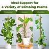 Опора для растений из мха - решетка для растений Опора для растений из мха для растений Monstera - Опора для вьющихся растений из мха