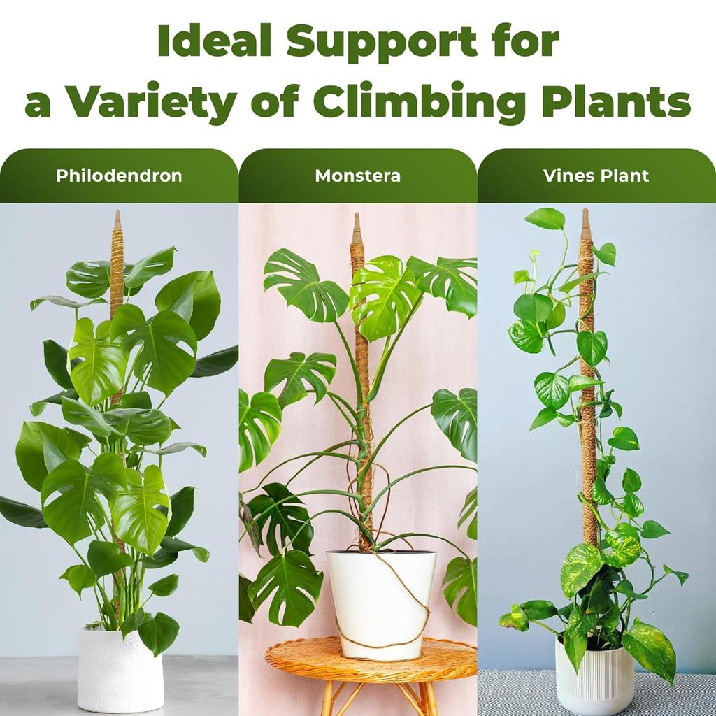 Опора для растений из мха - решетка для растений Опора для растений из мха для растений Monstera - Опора для вьющихся растений из мха