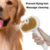 Cat Spray Brush Self-Cleaning Pet Comb with Release Button Cat Steam Brush Cat Spray Massage Brush Comb