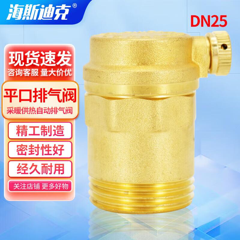 Haishidik Automatic Brass Air Vent Valve