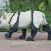 Обувь для собак XS-XXL, водонепроницаемые регулируемые ботинки для собак, дышащая обувь для дождливого дня, для прогулок на открытом воздухе, мягкие лапы французского бульдога Protec Y8A8