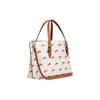 Coach Mollie Letter Logo Rainbow Pattern Print Zipper Closure Canvas With Leather Tote Bag Shopping Handbag Shoulder Crossbody Bag 25 CK373-SVCAH