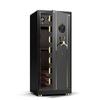 TIGER Voyage Series Fingerprint & Vein Recognition Home & Office Safe
