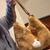 Милый-милый рюкзак-котенок, большая вместимость, плюшевая сумка через плечо для поездок на работу, дорожная сумка-тоут, один рюкзак и несколько способов ношения