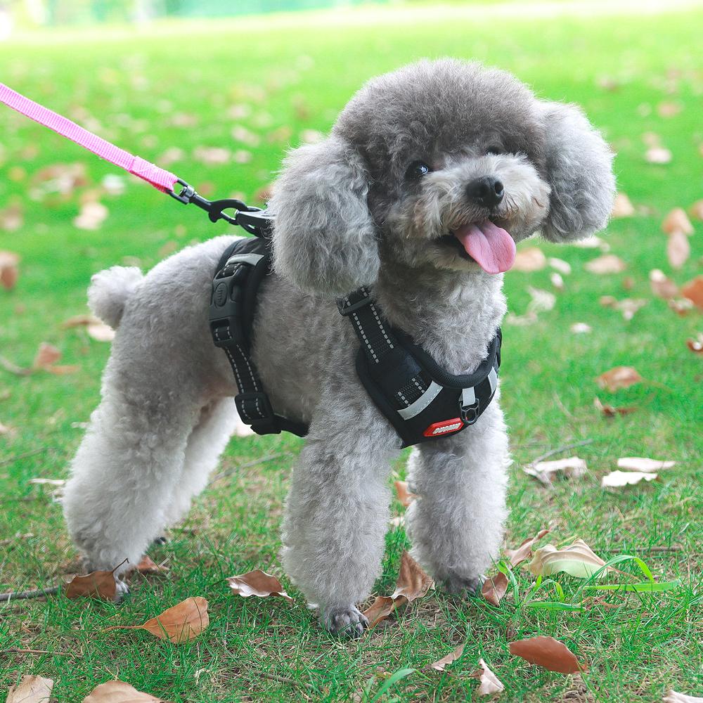 Жилет для собак без тяги, поводок для маленьких, средних и больших собак, регулируемый светоотражающий нагрудный ремень, прогулочный щенок, Шиба-ину, чихуахуа, французский бульдог, аксессуары для домашних животных