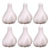 6Pcs Realistic Simulation Vegetable Models Artificial Vegetable Toy Kitchen Vegetable Decoration for Display Photography