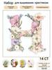 Embroidery Kit Picture of Full Cross, Cross Star