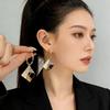 Осенне-зимние украшения геометрические серьги с цветовым сочетанием серьги универсальные серьги персонализированные преувеличенные серьги интернет-знаменитости