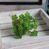 Plastic Mini Artificial Cactus Plant Real Touch Micro Landscape Decoration  Balcony Decoration