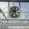 Осевой вентилятор для теплиц из нержавеющей стали для вентиляции с большим расходом воздуха и циркуляции воздуха внутри помещений